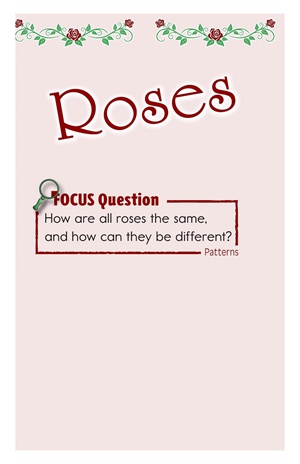 GK-2 20 Roses-Low -- 绘本听读宝在线台词全文