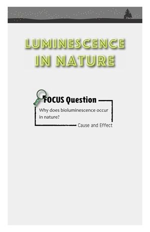 G5-6 84 Luminescence in Nature-Low -- 绘本听读宝在线台词全文