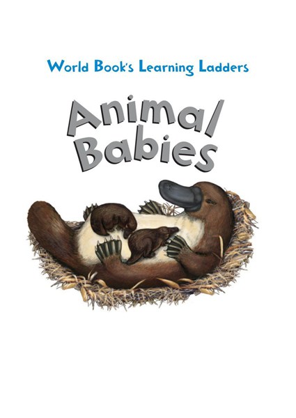 Learning ladders 2级 1 Animal Babies -- 绘本听读宝在线台词全文