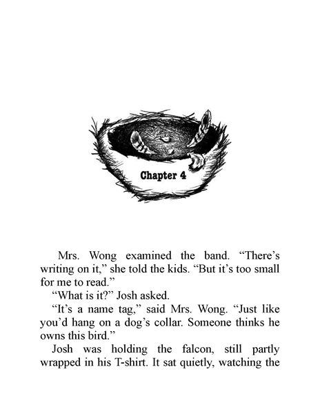 The Falcons Feathers Chapter 4 -- 绘本听读宝在线台词全文