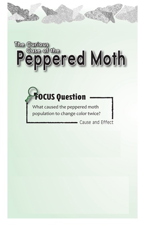 G5-6 15 The Curious Case of the Peppered Moth-Mid -- 绘本听读宝在线台词全文