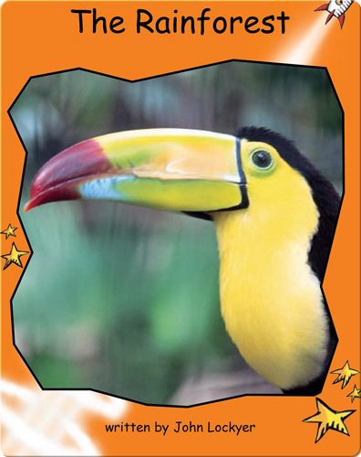 Fluency Level 1 Non-Fiction 7 The Rainforest -- 绘本听读宝在线台词全文