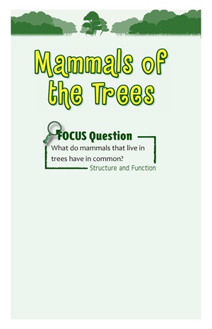 G3-4 5 Mammals of the Trees-Mid -- 绘本听读宝在线台词全文