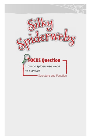 G3-4 12 Silky Spiderwebs-Low -- 绘本听读宝在线台词全文