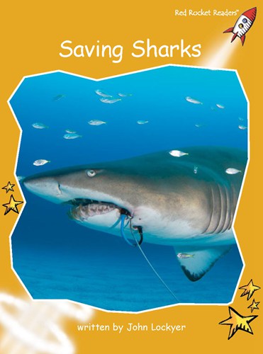 Fluency Level 4 Non-Fiction 22 Saving Sharks -- 绘本听读宝在线台词全文