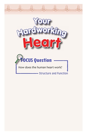 G3-4 32 Your Hardworking Heart-Mid -- 绘本听读宝在线台词全文
