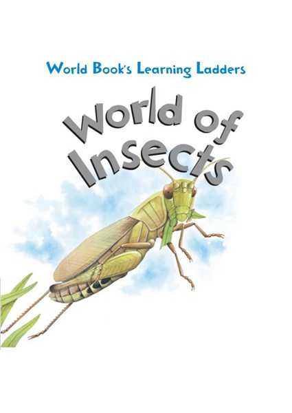 Learning ladders 1级 10 World of Insects -- 绘本听读宝在线台词全文
