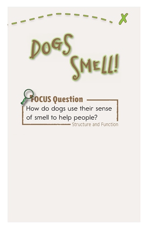GK-2 29 Dogs Smell!-Mid -- 绘本听读宝在线台词全文